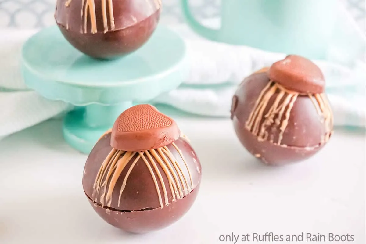 hot chocolate bombs