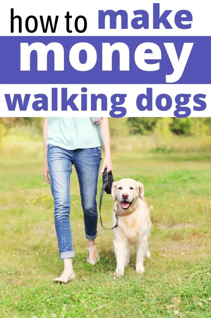 Get paid to walk dogs