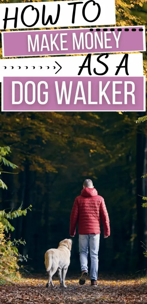 Get Paid To Walk Dogs 