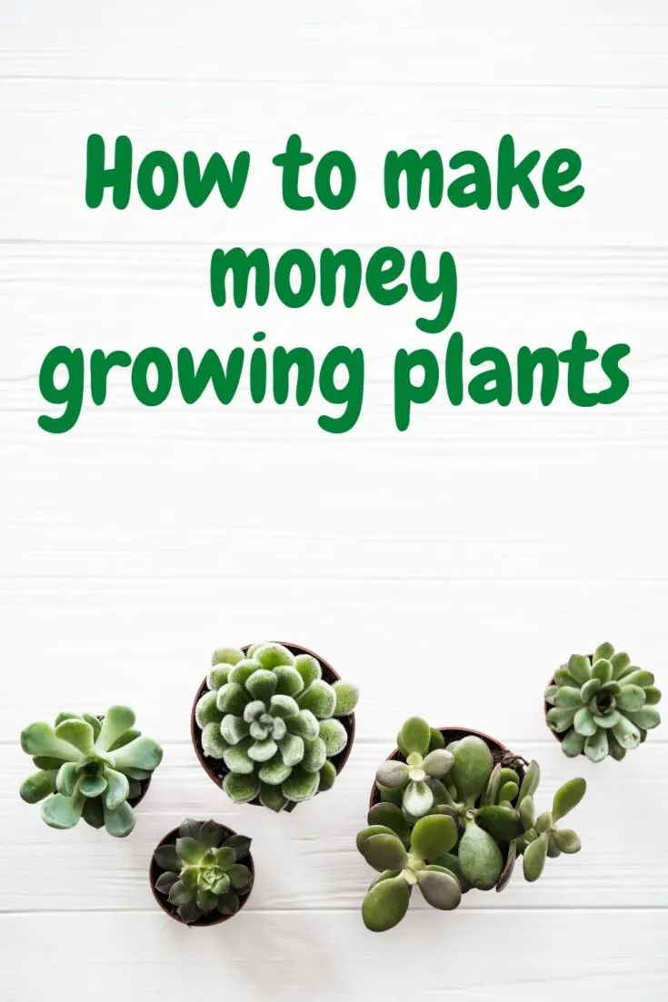How to make money growing plants