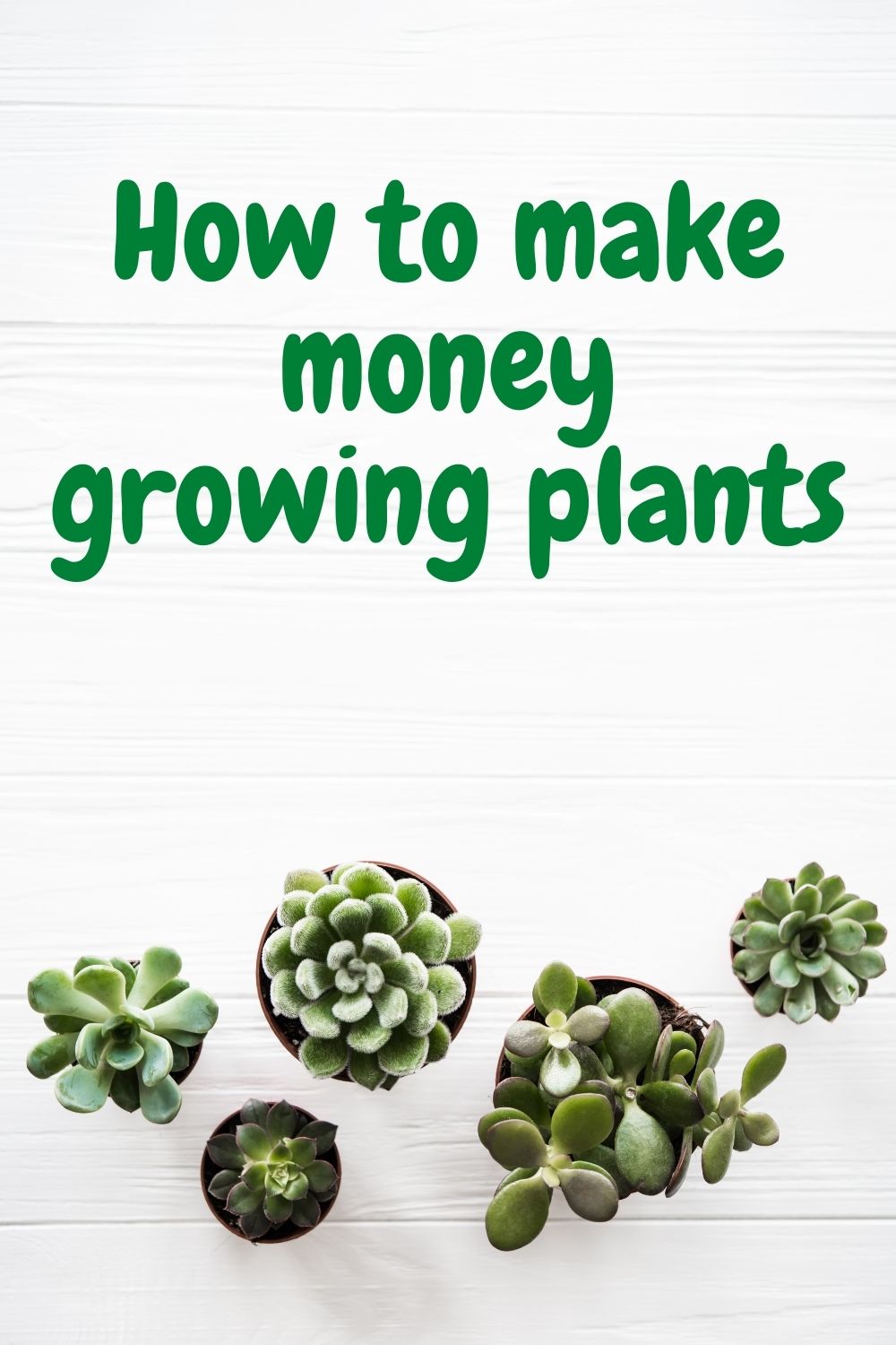How To Make Money Growing Plants This Work From Home Life