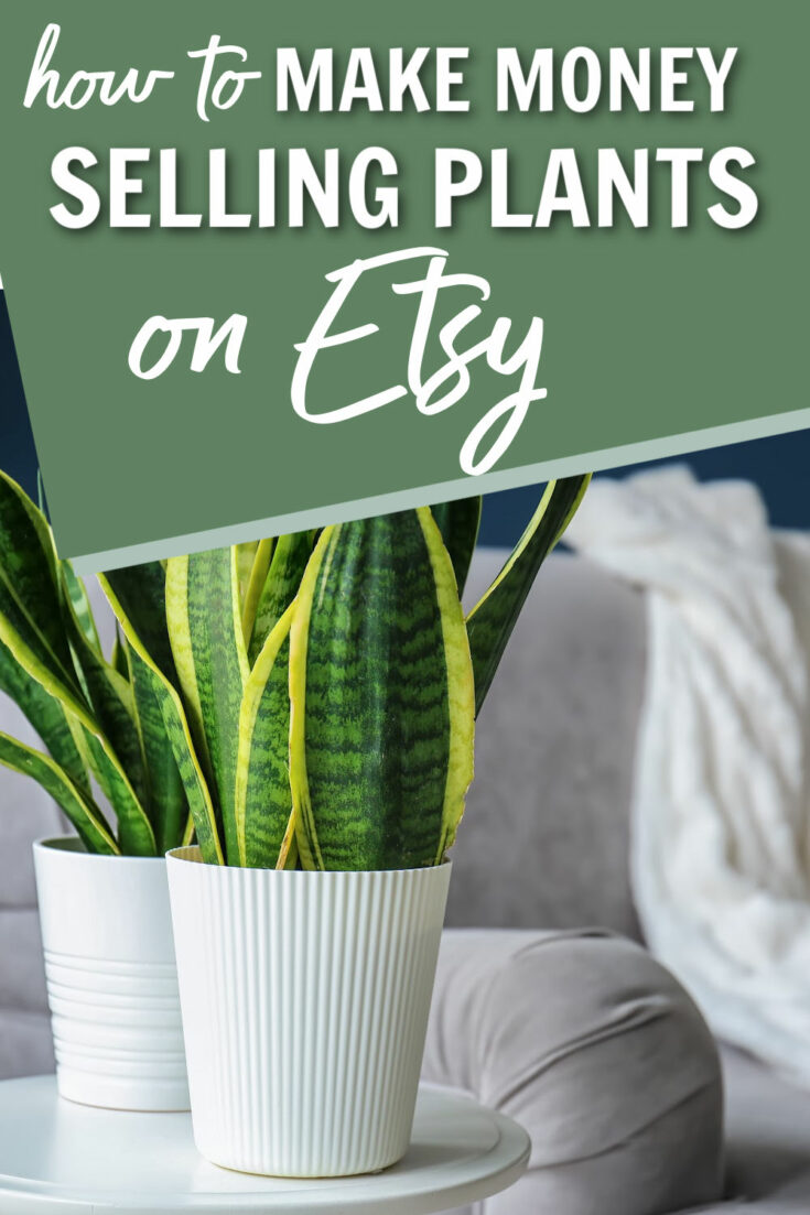 how to make money selling plants on Etsy
