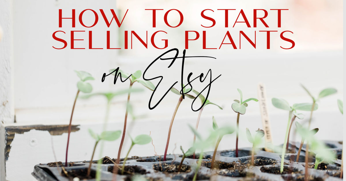 HOW TO START SELLING PLANTS ON ETSY