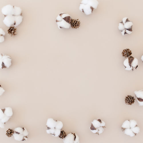 How to make and sell crafts out of pine cones