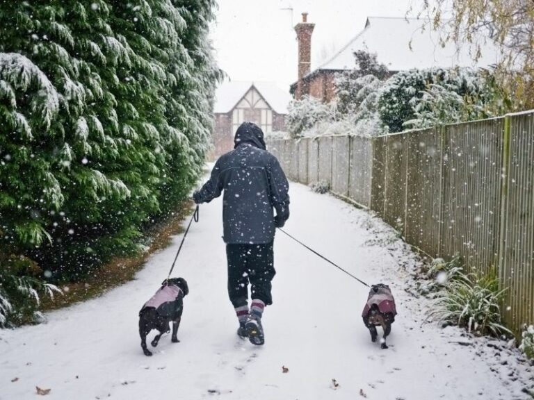 best ways to make money in winter