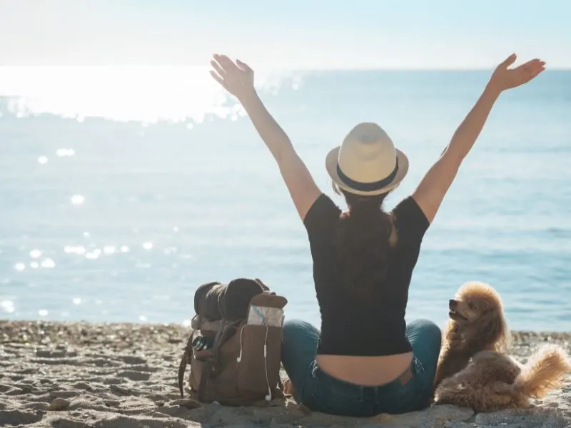 Get Paid To Travel With Your Dog