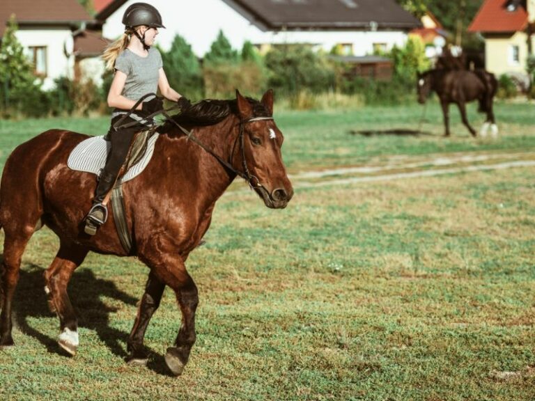 how to make money with horses