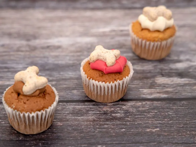 start a dog treat bakery