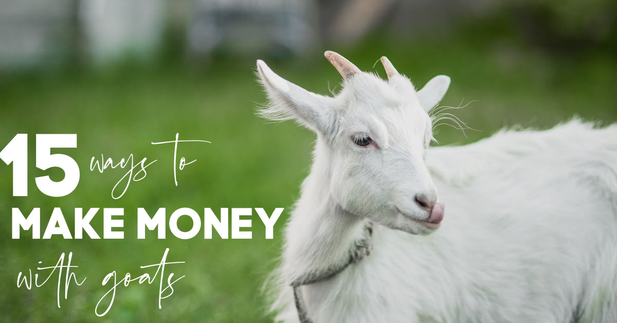 How To Make Money With Goats