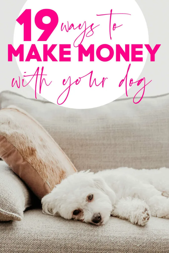 how to make money with your dog