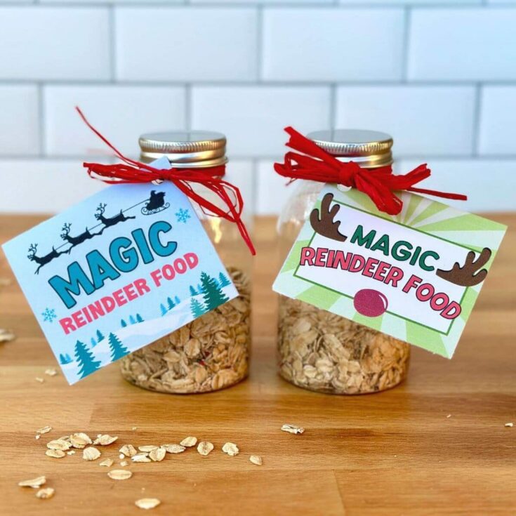 Image for Magic Reindeer Food