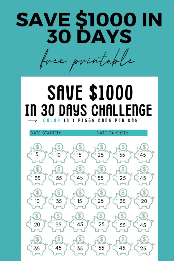 Save $1000 in 30 days challenge